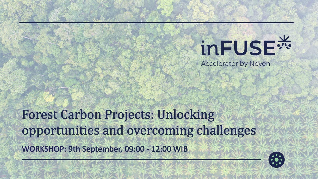 inFUSE Accelerator workshop on the opportunities and challenges of forest carbon projects