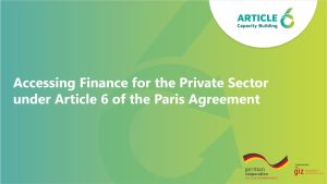 Course title: Accessing Finance for the Private Sector under Article 6 of the Paris Agreement