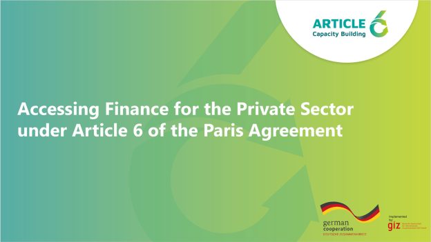 Course title: Accessing Finance for the Private Sector under Article 6 of the Paris Agreement